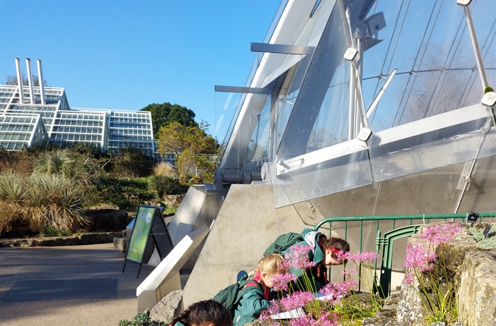 The Splendour of Autumn at Kew Gardens